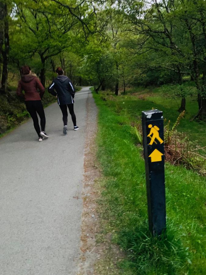 Wicklow Way Lodge 외부 사진