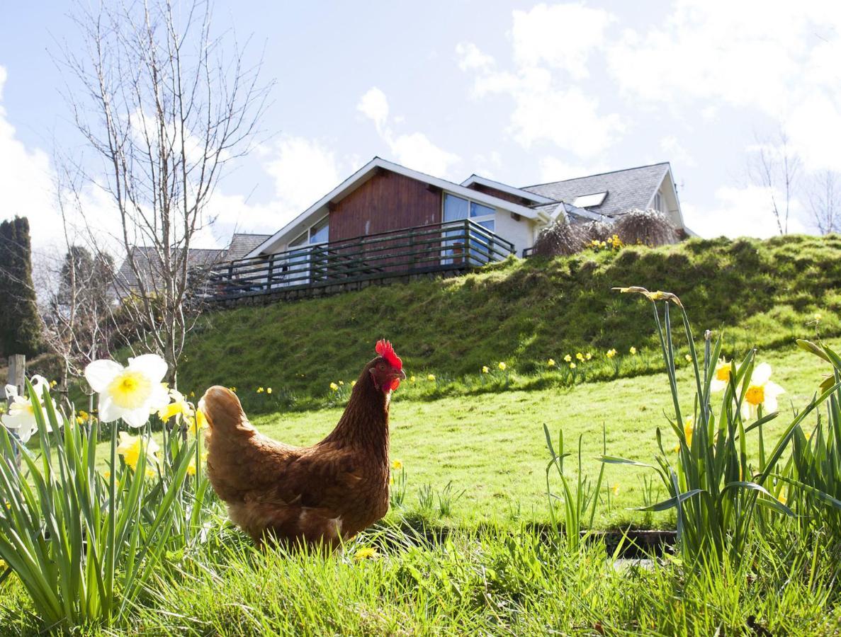 Wicklow Way Lodge 외부 사진